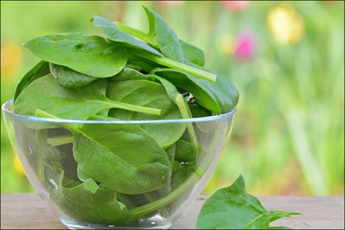 Spinach benefits 2022 ww 00 - ما هي فوائد السبانخ؟ تعرف على السبانخ وفوائدها الـ 10