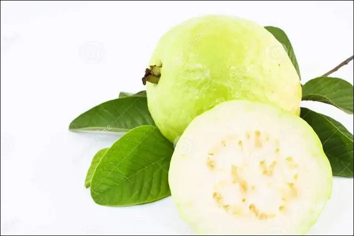 guava leaves 2022 fe 33 - فوائد ورق الجوافة للجنس والصحة الإنجابية