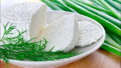 السعرات الحرارية في الجبن القريش 5 فوائد تناول الجبن يومياً